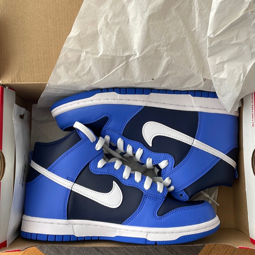 Brand new Nike dunks high